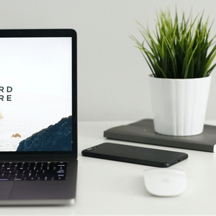 SK online typing job 